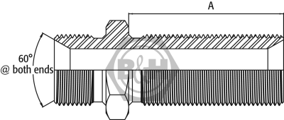 BSP male x BSP male extended bulkhead LESS LOCKNUT Drawing