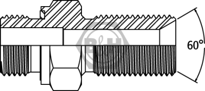 BSP male captive seal x BSP male bulkhead LESS LOCKNUT Drawing