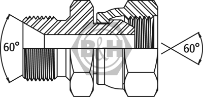 BSP male x BSP swivel female Drawing