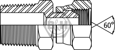 BSPT male x BSP swivel female Drawing