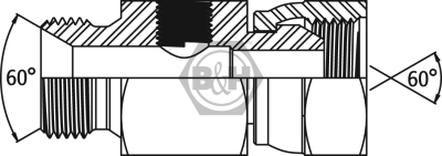 BSP male x BSP swivel female TEST POINT adaptors Drawing