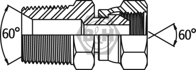 BSPT male 60° cone x BSP swivel female Drawing