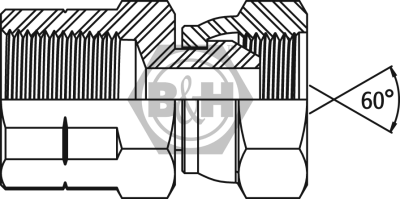 NPTF fixed female x BSP swivel female Drawing