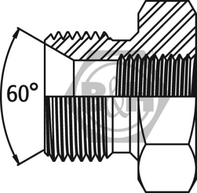 BSP male 60° cone x BSP fixed female bush Drawing