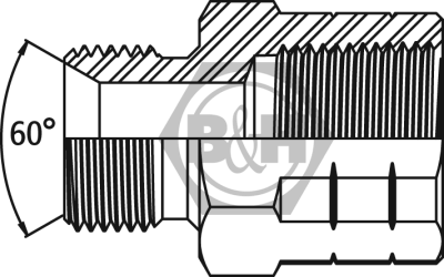 BSP male x BSPT fixed female extended Drawing