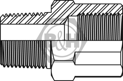 BSPT male x BSP fixed female extended Drawing
