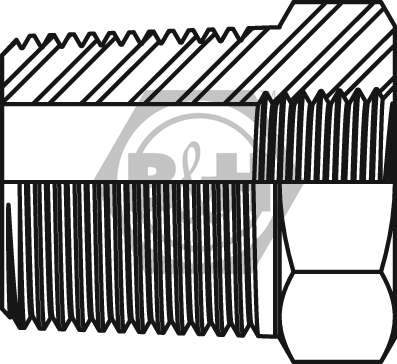 BSPT male x NPTF fixed female bush Drawing