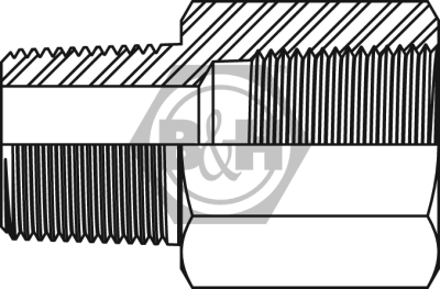 BSPT male x NPTF fixed female extended Drawing