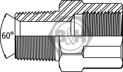 NPTF male x BSP fixed female extended Drawing