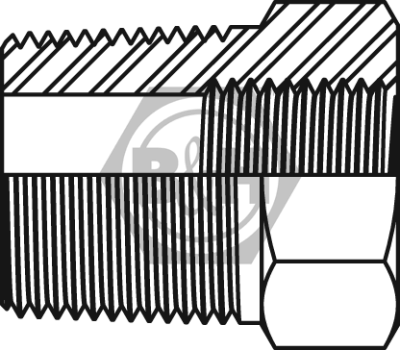 NPTF male x BSP fixed female bush Drawing