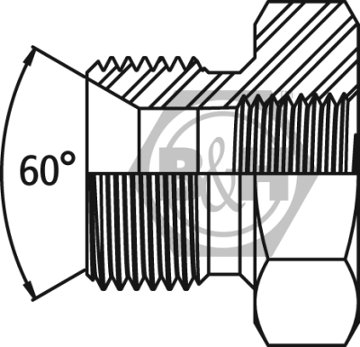 BSP male 60° cone x BSPT fixed female bush Drawing