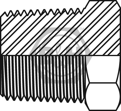 BSPT solid plug Drawing