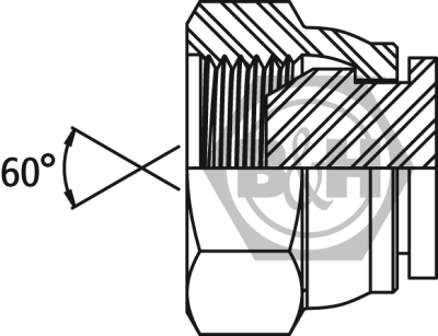 BSP swivel blanking cap Drawing