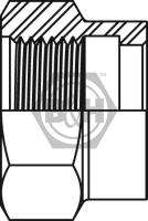 BSP crimp nut Drawing