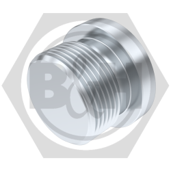 BSP socket headed plug for bonded seals