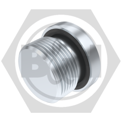 BSP Socket Headed Plug WITH 3869 SEAL