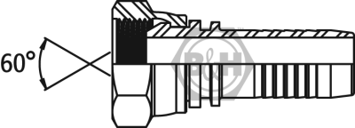 BSP swivel female x Hose-Tail Straight Drawing