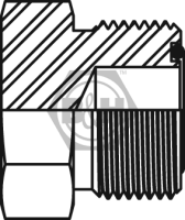 ORFS plug WITH O'RING Drawing