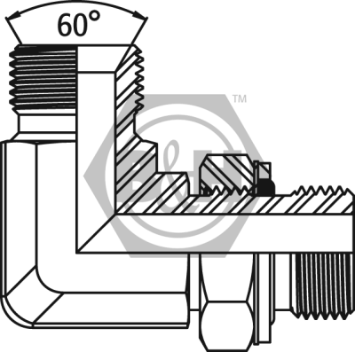 BSP male x BSP male 90° positional forged elbow Drawing