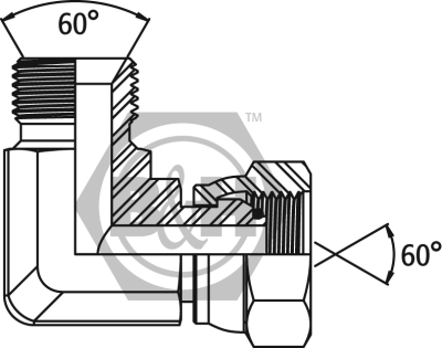 BSP male x BSP swivel female O'ring Seal 90° forged compact elbow (Soft Seal) Drawing